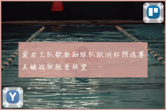 爱尔兰队歌激励球队欧洲杯预选赛关键战取胜晋级望