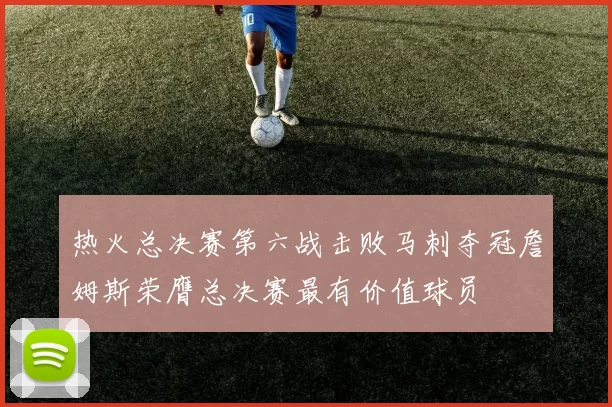 热火总决赛第六战击败马刺夺冠詹姆斯荣膺总决赛最有价值球员