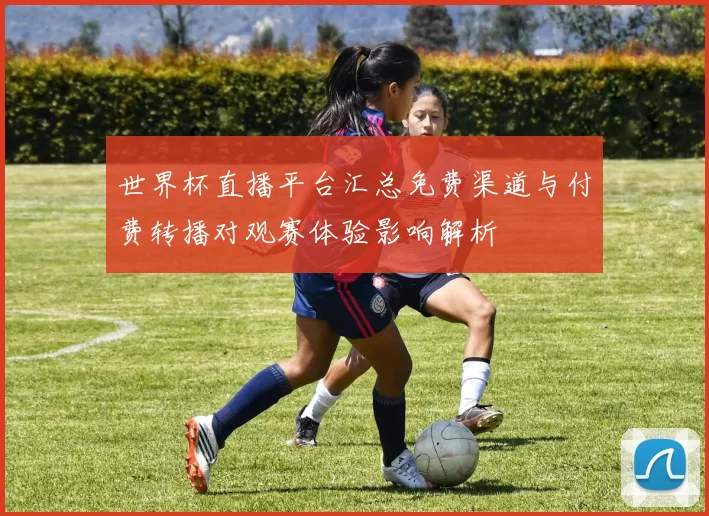 世界杯直播平台汇总免费渠道与付费转播对观赛体验影响解析