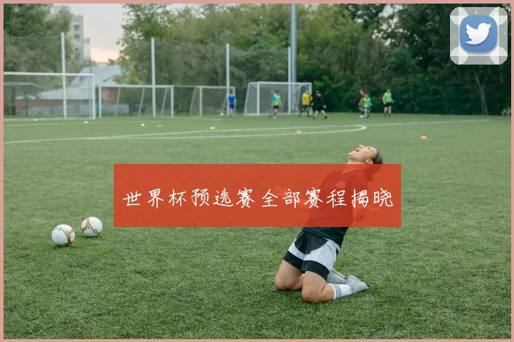 世界杯预选赛全部赛程揭晓
