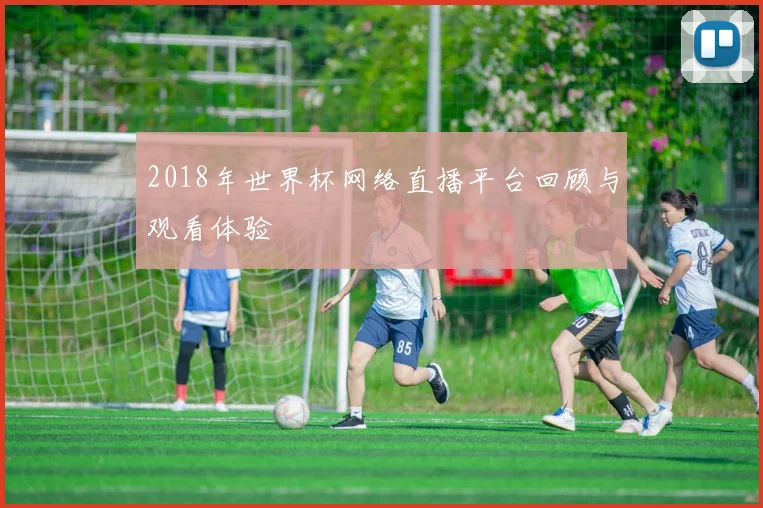 2018年世界杯网络直播平台回顾与观看体验