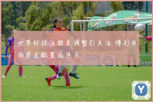 世界杯投注额度调整引关注 博彩市场资金配置成焦点